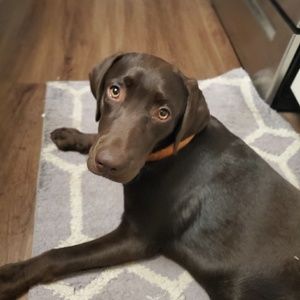 Meet your Posher, Erin